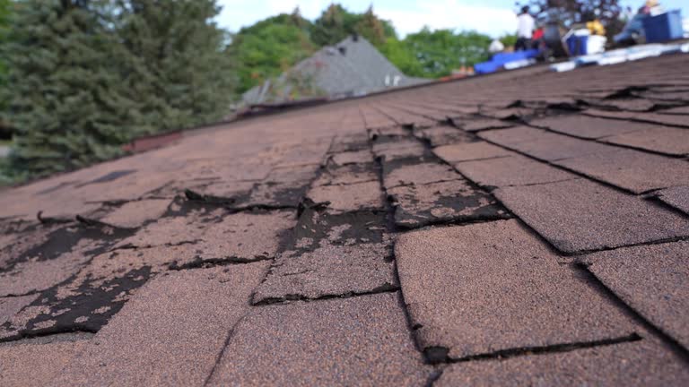 Best Roof Waterproofing  in Rochester, WI