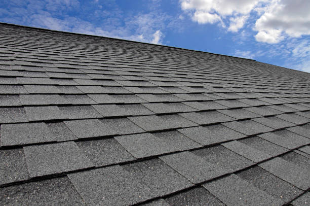 Best Storm Damage Roof Repair  in Rochester, WI